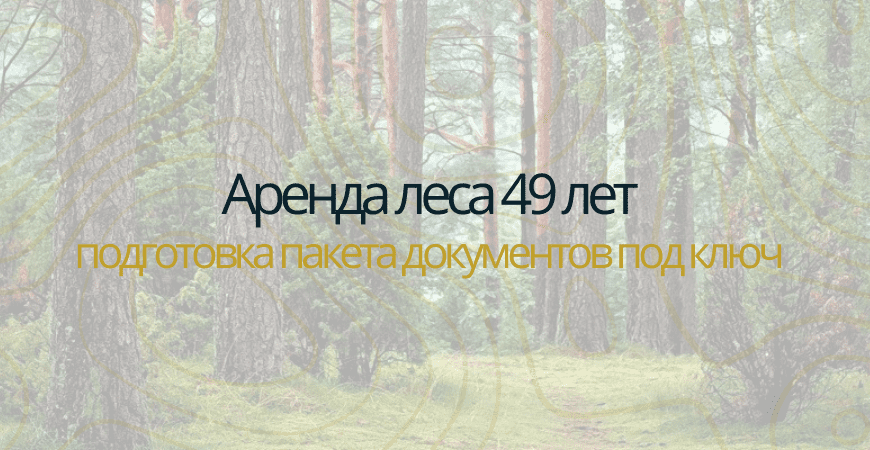Аренда леса на 49 лет в Красноярске