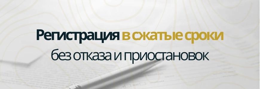 Регистрация в сжатые сроки под ключ в городе Железногорск